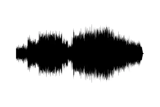 Example circle sound wave art